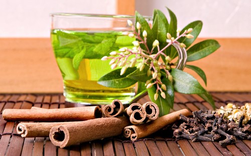 Чай с гвоздикой - различные рецепты Чай с гвоздикой - различные рецепты