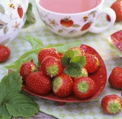 Чай из земляники Чай из земляники