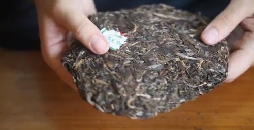 Молодой шен пуэр 2011 года Молодой шен пуэр 2011 года