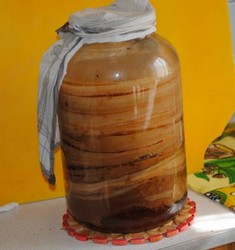 Чайный гриб в бутыльке Чайный гриб в бутыльке