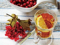Чай с калиной, рецепты Чай с калиной, рецепты