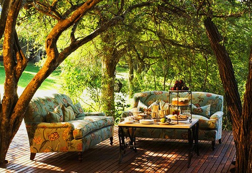 Чай на природе Чай на природе