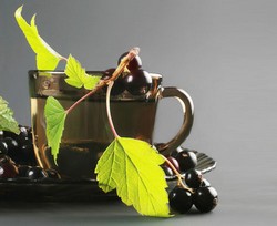 Чай из листьев смородины Чай из листьев смородины