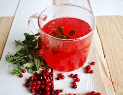 Чай из листьев брусники: польза и вред Чай из листьев брусники: польза и вред