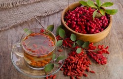 Чай с барбарисом: польза и противопоказания Чай с барбарисом: польза и противопоказания