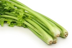 Любисток, растение, зеленые корни Любисток, растение, зеленые корни